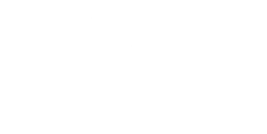 amisca-logo-white